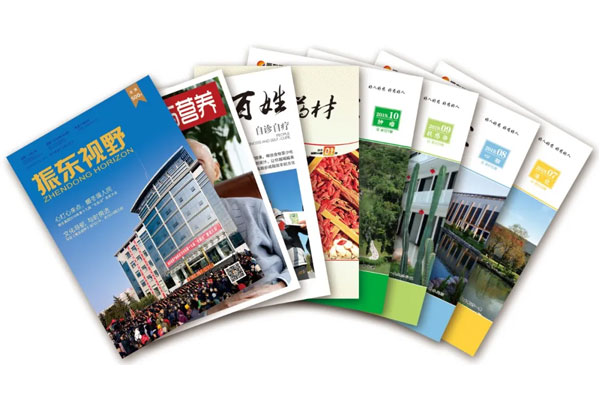 一定发集团杂志期刊