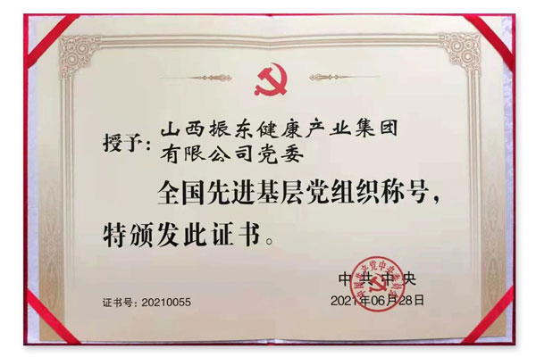 建党100周年 工作部署会议 一定发集团