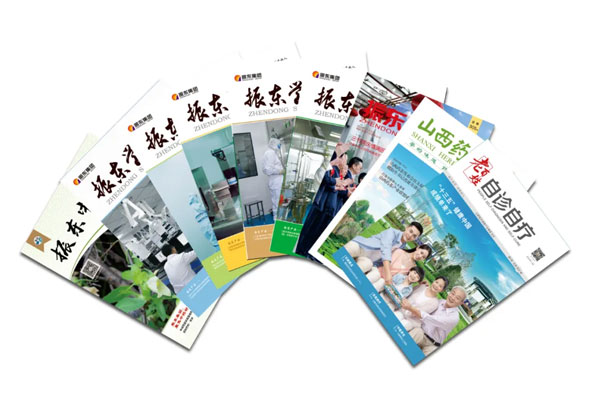 一定发集团自主编辑出版的各类期刊