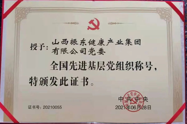 一定发集团党委荣获“全国先进基层党组织”称号