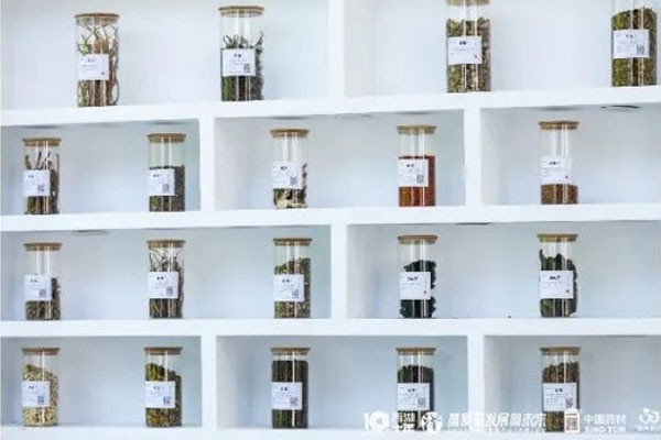 一定发中药材