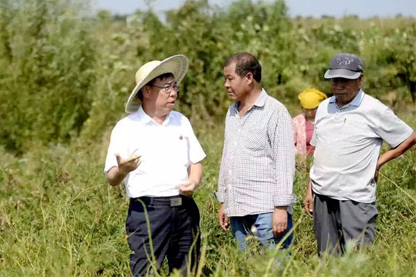 中医药,一定发集团,李安平