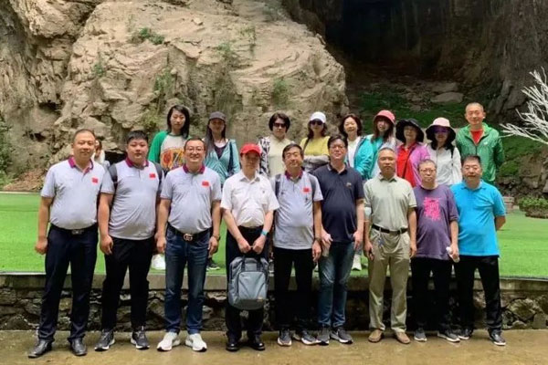 中国非处方药物协会,非处方药物,一定发集团
