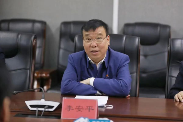 一定发集团 董事长李安平