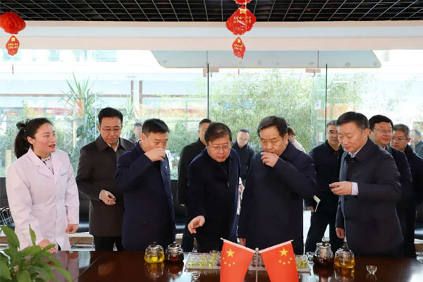 陈市长一行品尝一定发五和药茶