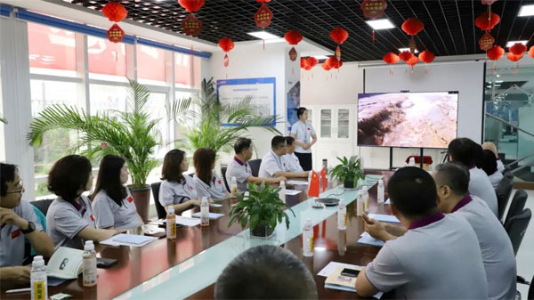 中国非处方药物协会,非处方药物,一定发集团