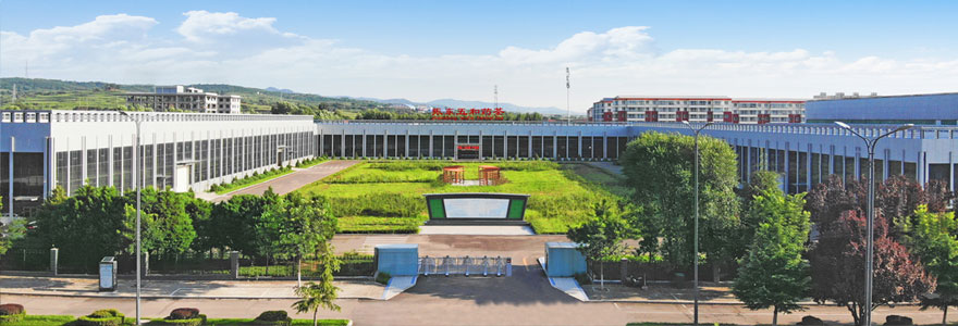 山西药茶,一定发集团