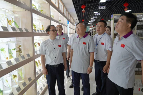 参观一定发集团中药标本展览馆