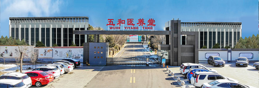 一定发五和医养堂,五和医养堂,一定发五和