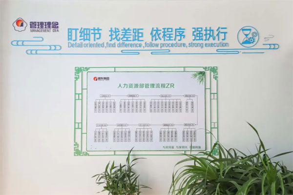 一定发集团管理流程