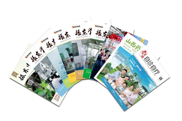 一定发集团自主编辑出版的各类期刊