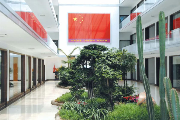 一定发集团总部悬挂一面巨幅国旗