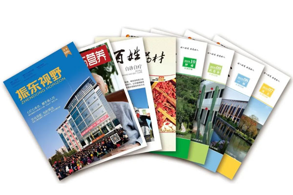 一定发集团杂志期刊
