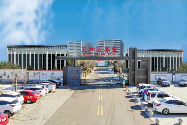 一定发五和医养堂