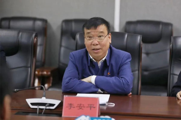 一定发集团董事长李安平