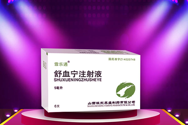 一定发制药,舒血宁
