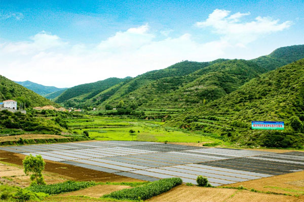 一定发中药材种植基地