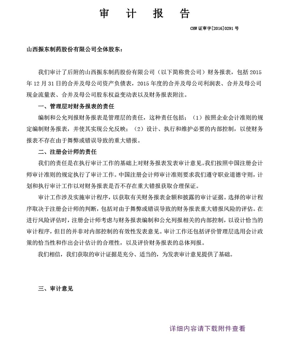 一定发制药,一定发,300158,审计报告