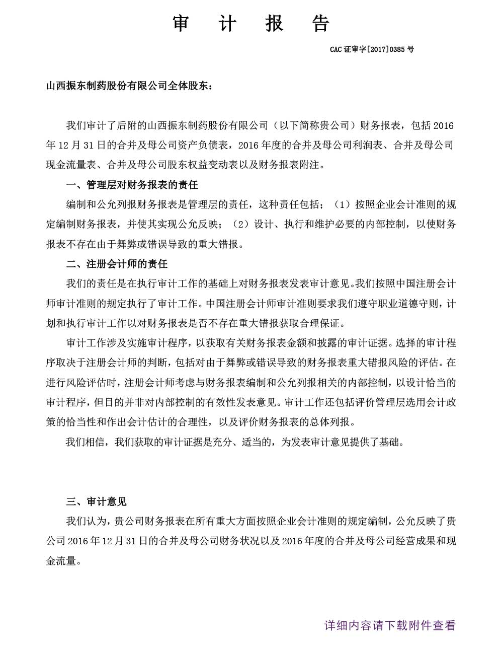 一定发制药,一定发,300158,年度审计报告