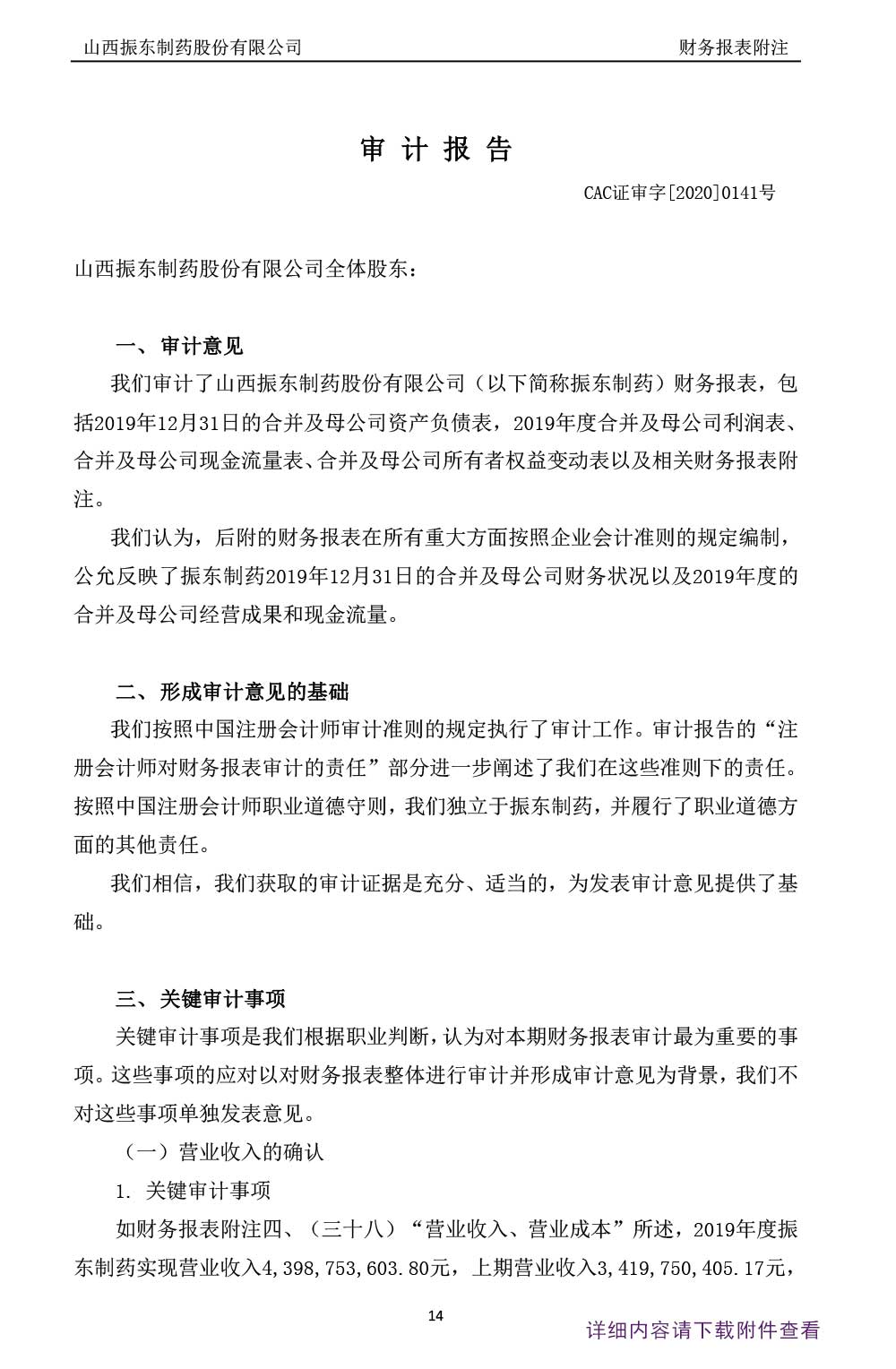 一定发制药,一定发,300158,年度审计报告,审计报告