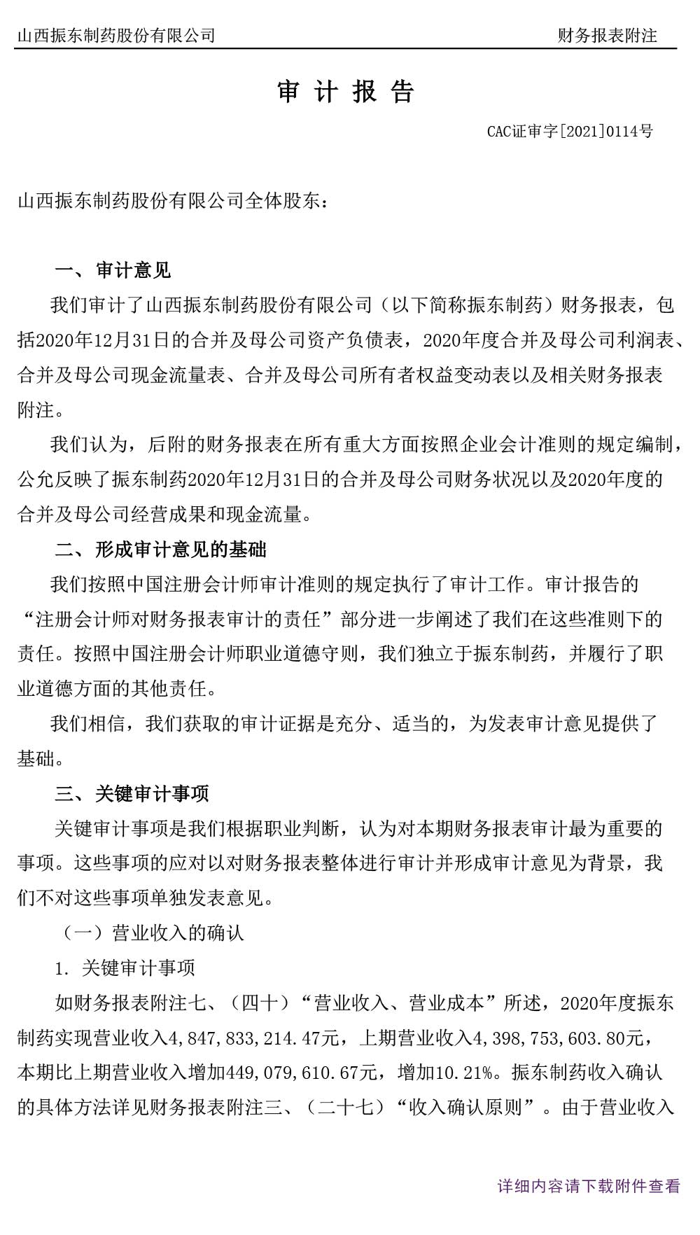 一定发制药,一定发,300158,年度审计报告