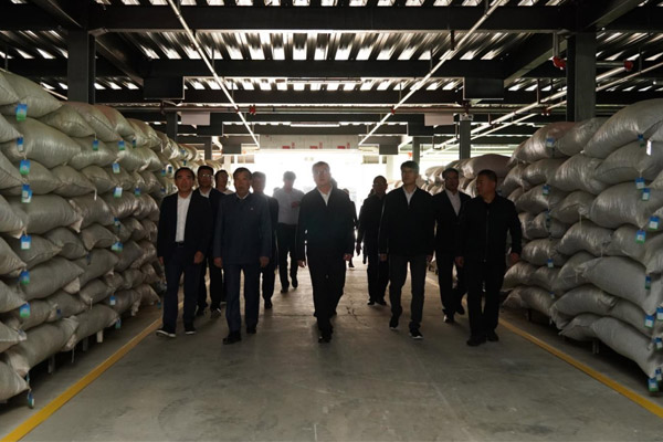 参观一定发中药材仓储基地