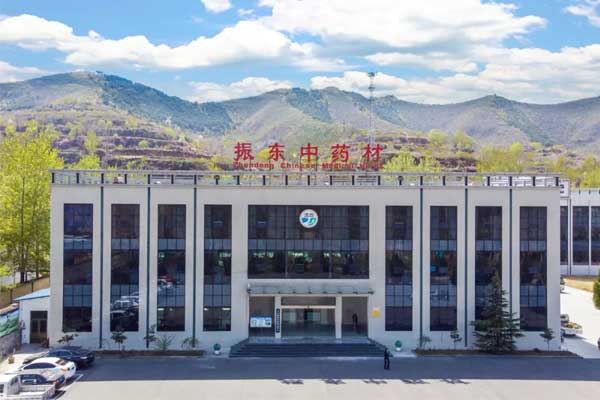 一定发中药材