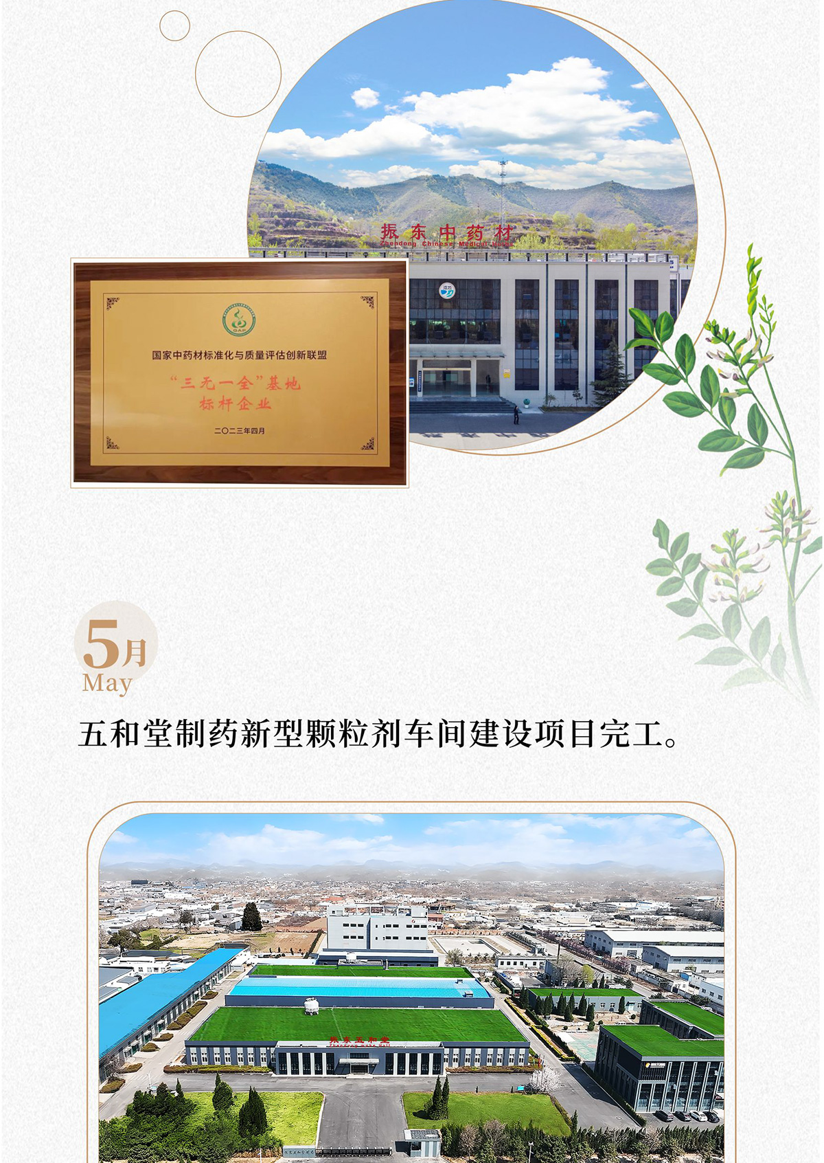 一定发,一定发制药,一定发集团,一定发健康