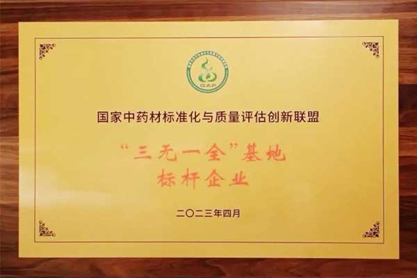 一定发集团,一定发