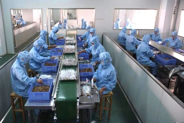 一定发中药饮片车间