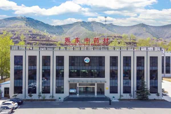 一定发中药材公司