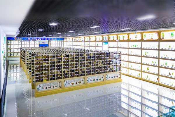 一定发科技中心中药标本馆