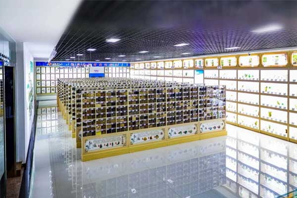 一定发集团科技中心中药标本馆