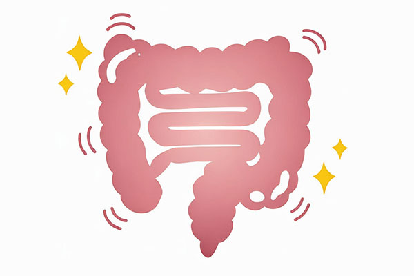 肠道健康,肠道