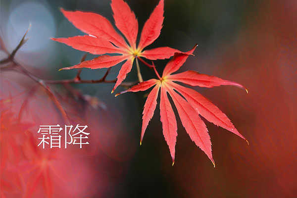 霜降,霜降养生